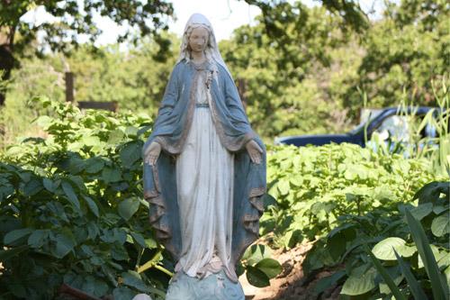 A statute of the Virgin Mary stands amid lush greenery at St. Joseph Center. 