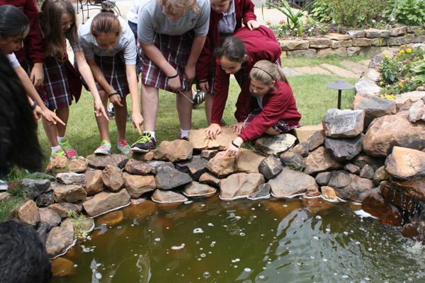 St. Theresa School students look at fish in the backyard pond at the House of Formation on Good Counsel’s campus in Little Rock. (Malea Hargett photo)