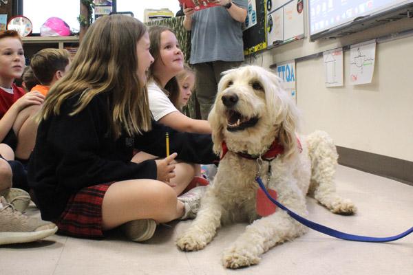 Dude the therapy dog takes in story time with third-graders at Our Lady of Holy Souls School in Little Rock. Dude and his handler Aimee Glasgow make the rounds at school one day a week. (Dwain Hebda photo)