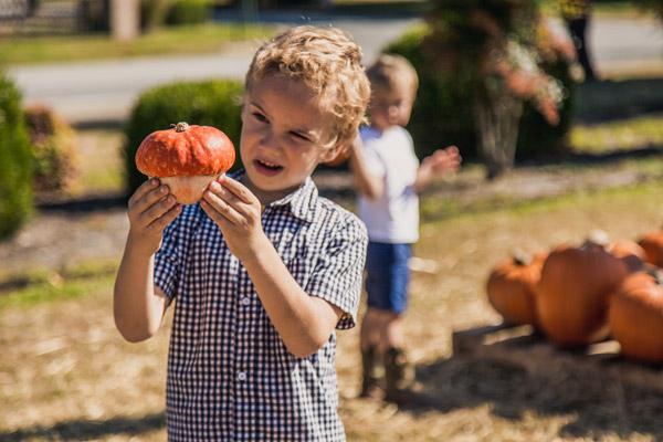 “Looks like a Mario Mushroom,” said 7-year-old Peter Mulholland as he encountered his first “Elf House” pumpkin. (Travis McAfee photo)