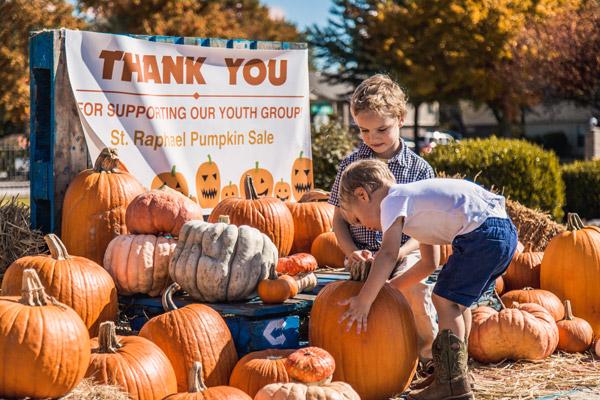 Brothers Peter and Henry Mulholland size up the selection of pumpkins at the St. Raphael fundraiser. (Travis McAfee photo)