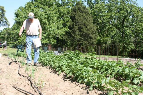 Charlie Jackson, who has been farming at St. Joseph for about seven years, tends to his pepper plants. 
