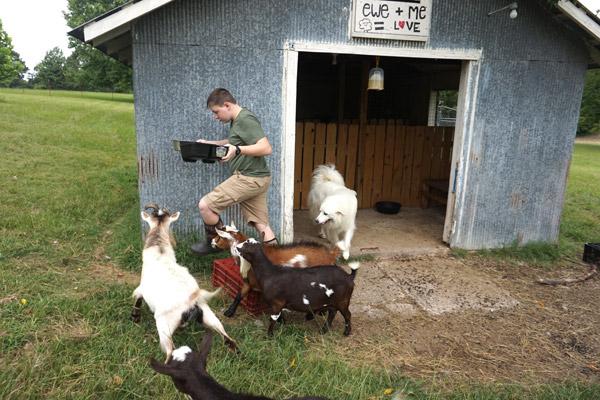 Ramsey Messick, 12, carries food out for the goats and Peaches, the dog who guards the goats, at St. Joseph Center of Arkansas July 31.  (Aprille Hanson photo)