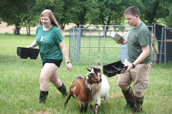 Mollie Messick, 17, and her brother Ramsey, 12, feed the goats at St. Joseph Center of Arkansas in North Little Rock on July 31. The Messick family participates in the animal ambassador program, taking care of the center’s livestock. (Aprille Hanson photo) 