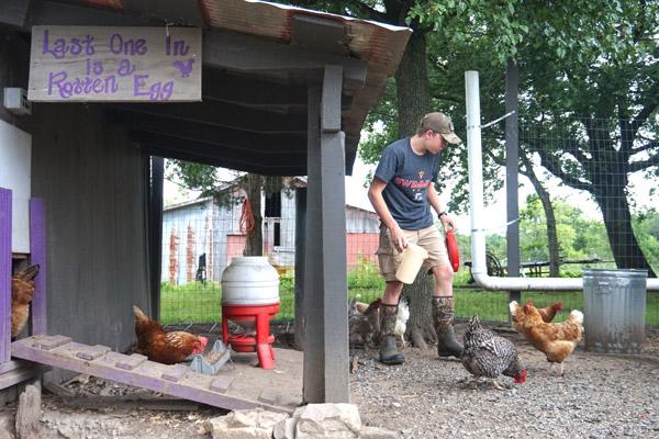 Aubrey Messick, 13, feeds some 60 chickens at an enclosure at St. Joseph Center of Arkansas in North Little Rock July 31. He and his family are animal ambassadors for the center. (Aprille Hanson photo)