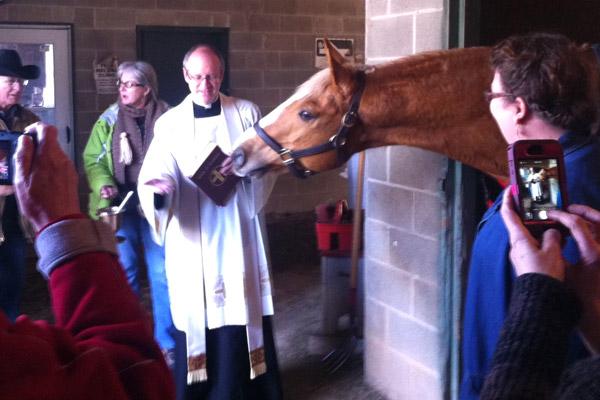 Father James West blesses the horses at Oaklawn Racing in Hot Springs while serving as pastor of St. John about five years ago. Father West had a love for animals, and three dogs of his own. (Courtesy Brenda Engel)