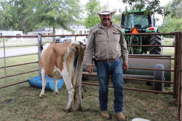 Jesús Gomez, a farmer and parishioner of St. John Church in Russellville, brought two dairy cows for the petting zoo. 
“I brought my cows to give fresh milk to kids,” Gomez said. “We’re so happy to have everyone here.” Katie Zakrzewski
