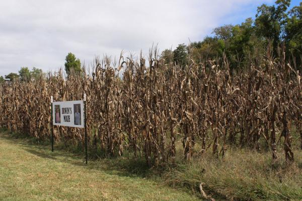 In July, Schmoll and Father Carrasco planted corn and sold it to fundraise for the religious education classrooms. That corn was turned into a corn maze for the heritage festival. Katie Zakrzewski